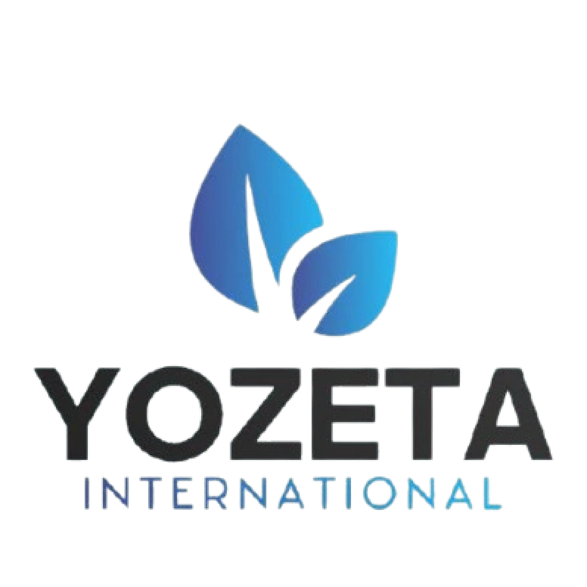 Yozeta International