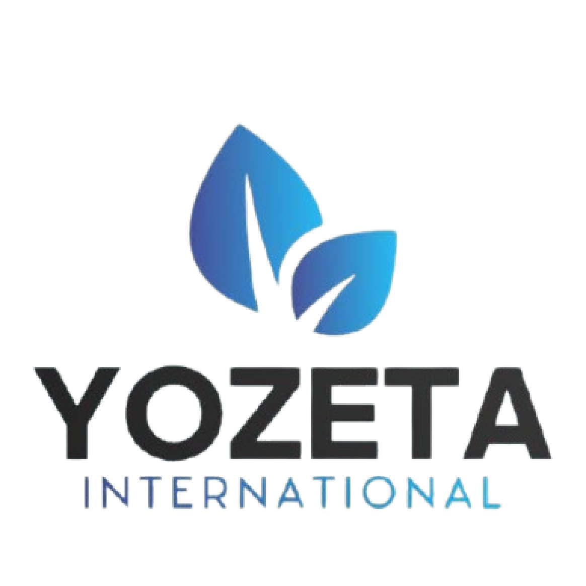Yozeta International